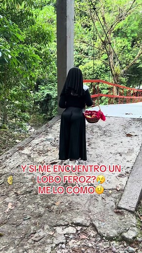 Encountering a Fierce Wolf | Confrontation and Survival