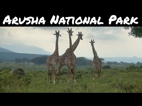 Exploring Arusha National Park: A Hidden Gem in Tanzania