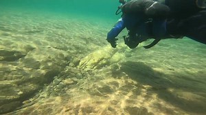 Large calcite and quartz vein in the Keweenaw peninsula, near Eagle harbor in Lake Superior. This is the start of the vein and it goes out a quarter mile offshore. Geology dives are always fun. | Chris Roxburgh