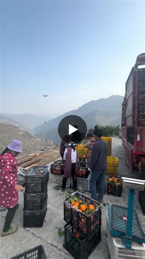 Drones Revolutionize Chinese Farming with Practical Automation | Waseem Rehman posted on the topic | LinkedIn