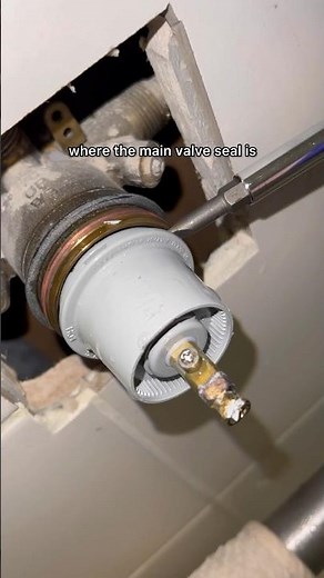 Leaking Shower Repair #Delta #Shower #Diy #plumbing #leaking #leak #repair #howto #tutorial