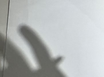 C#中List的Add方法