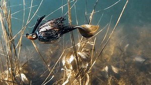 4 Baits for Heavy Cover Bass Fishing Anywhere