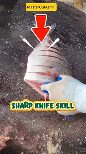 How to Cut Fish Like a PRO 🐟 | Professional Fish Cutting Tutorial #fishcutting
