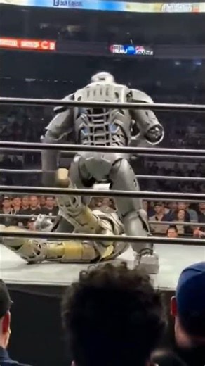 Boxing between giant boxer robots