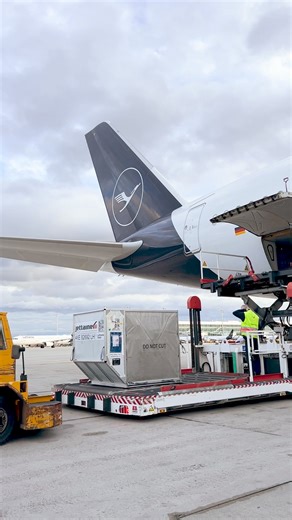 118K views · 1.5K reactions | Every journey has its first step, and ours begins long before takeoff. Meet the tug and our dedicated ramp agents, the true heart of our operations. Together, they master the unseen ballet of our departures, ensuring each flight takes off on time. Here's to the people who make every flight seamless, thank you! | Lufthansa | Facebook