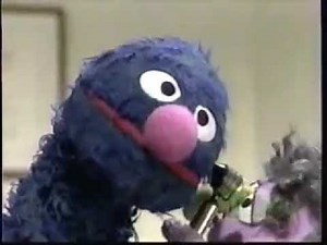 Classic Sesame Street Grover Visits the Doctor