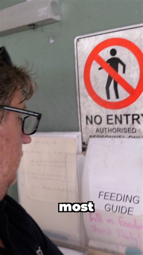 Enter the DEADLIEST Aquarium in the World... | CoralFish12g