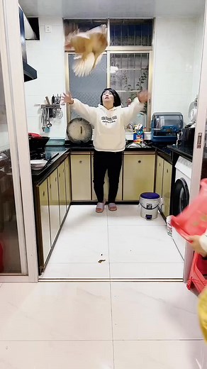 My son said this is the way to hot pot the chicken. #New Year Through Chinese Characters #Funny Mom | Little Yang Show