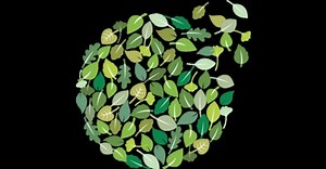 ESG in Technology, Media & Telecommunications: Driving value through sustainability