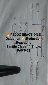 “Redox Reactions Class 11 | Simple Explanation of Oxidation & Reduction with Real Examples!”