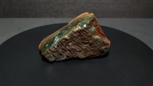 Jasperized Limb Cast - Hampton Butte Oregon. 38-30 Million Years Old. - Etsy