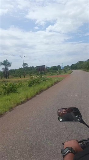 Caica del Orinoco: Facts and Popular Moments