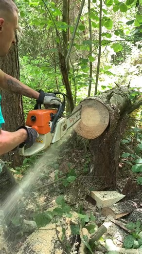 1.9K views | #tutorial #reelsinstagram #fypシ #USA #funnymoments #trending #lessons #joke #satisfyingvideo #reelsvideo #lifehack #asmr #tip #tree #reelsviral #reelsfbpage #diy #foryou #funny #viralvideo #hack #trick #moment #fypシviralシ #viralpost | Karen Burke | Facebook