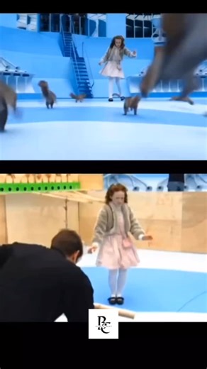 Breed of Cinema on Instagram: "Chocolate Factory, trained squirrels swarm Veruca Salt inside Willy Wonka’s nut room. What looks like pure fantasy was carefully staged using real animals, controlled sets, and precise timing, blending practical effects with subtle visual tricks to create chaos that feels believable and playful. Behind the scenes, animal trainers guided each squirrel with rewards while the actress performed separately for safety. Blue screens replaced the factory environment, later