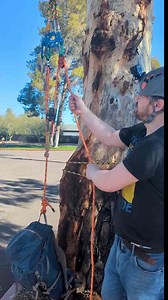 Z-Rig 3:1 Pulley System For Hauling For Arborists And Tree Climbers