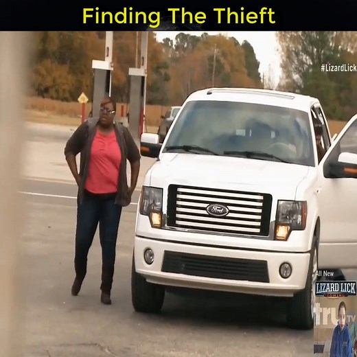 136K views · 4.6K reactions | Finding The Thieft | Lizard Fan TV | Facebook