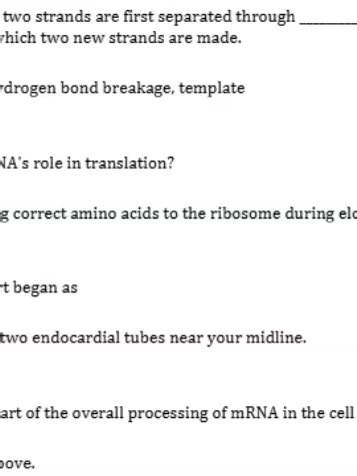 BIOL 101 Quiz 4 • Question 1 3.2 out of 3.2 points In the process of transcription, the base sequence in the molecule _______ is read by the molecule _________ , an enzyme that makes an RNA molecule. Selected Answer: DNA, RNA polymerase • Question 2 3.2 out of 3.2 points Which of the following sequences best represents the overall flow of information in a cell? Selected Answer: transcription, pre-mRNA processing, translation, protein processing, export • Question 3 3.2 out of 3.2 points The de-c