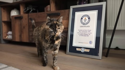 Who is Flossie the cat? Record holding feline turns 30 years old