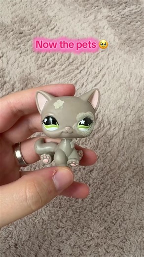 Amor por los LPS: Adopta tu gatito favorito