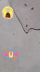 26K views · 121 reactions | ASMR  | Anisa Amalia Lestari | Facebook