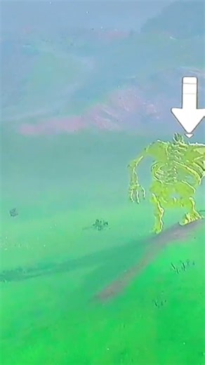 Anvisier-bug in Botw! #botw #zelda #gaming #bug