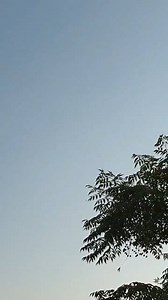 41K views · 1.6K reactions | Pride of Pakistan JF-17 aircrafts gave salutations to honor the visiting guest Amir of Qatar H.H Sheikh Tamim Bin Hamad Al Thani at PM House.   | Imran Khan | Facebook