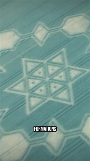 Bizarre Patterns in Wheat! | The Why Files