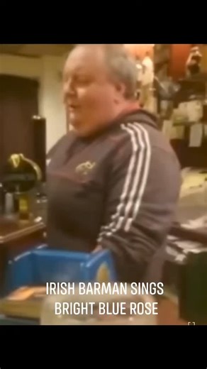 Irish Barman sings, Bright Blue Rose Christy Moore reckons it's the best version he has heard. #irishpub #irish #barman #brightbluerose | Irish Ballads