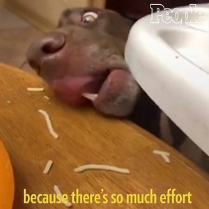 566K views · 872 reactions | Trying to sneak in a snack when you know you're supposed to be eating clean.  | People | Facebook