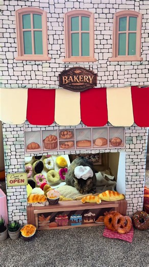A whole story in one video 🍩 #Bakery #ChefGary #Diner #Cat | cat