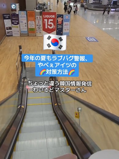 夏の韓国とラブバグ対策方法