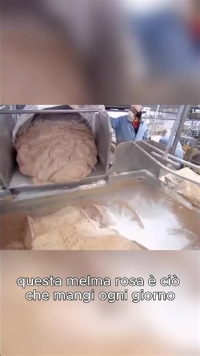 HOT DOGS ARE NOT WHAT YOU THINK