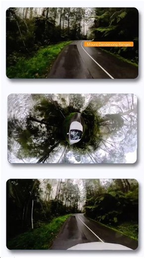 Mount Dandenong | Day Trip from Melbourne | Australia 🇦🇺