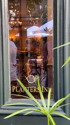 31 reactions | ️ Set the scene for your next Charleston escape at...