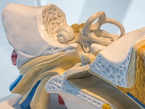 Otite chez le bébé, nourrisson : comment reconnaître les symptômes et la soigner ?