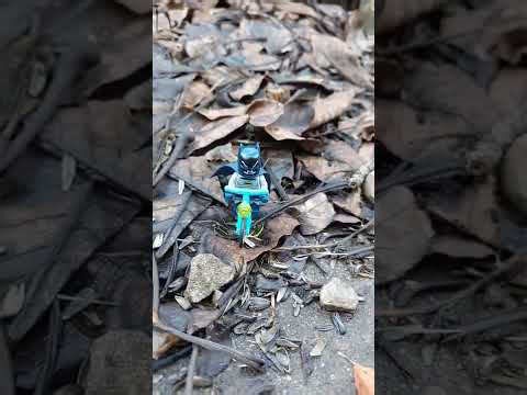 joo - ich bin mit dem Radl da! #shorts #short #batman #batmobil #radfahren #radeln