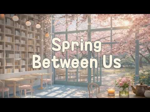 Spring Between Us 🌸[Acoustic Piano & Cello] Daily Background Music | Study & Relaxation