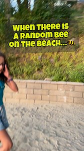 39K views · 1.2K reactions | We met a bee… #beachday #bees #beelove #funfacts #randomfacts | Maisie Facts | Facebook