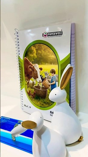 Spiral notebook with transparent spiral a new spiral notebook by Paperwell