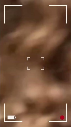 Golden Glow Balayage ✨ Natural Shine #balayagespecialist #lumabylia #freehandbalayage 💫