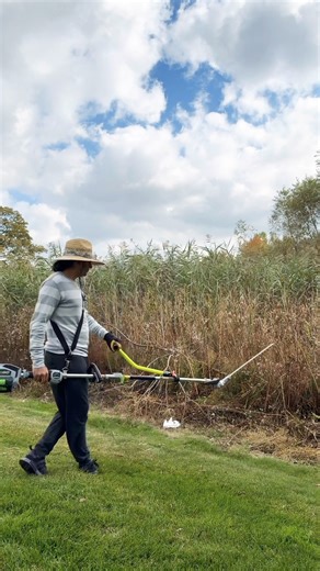 Wacking weeds and cattails #tools #outdoors #yardwork #egopowerplus