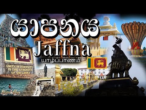 Jaffna Travel | යාපනය සංචාරය | Best Places to visit Jaffna Sri Lanka | #travel #jaffna #lahirualwis