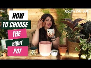 I spent 7 years testing pots for houseplants: Here's What I've Learned // Planter Review