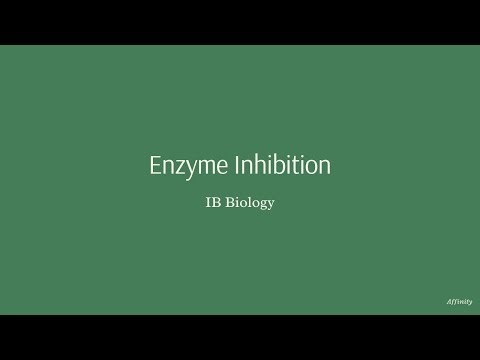 Enzyme Inhibition | IB Biology