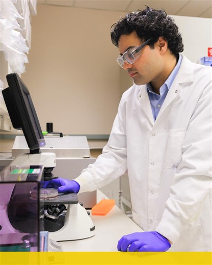Step inside the Dyck Lab at the U of A with student researcher Kush as he studies ovarian cancer cells under the microscope and explores ways to slow their growth. | University of Alberta