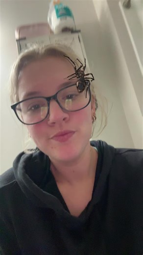 we hate spiders. i was freaking out low key even knowing its fake😅🥲#spideronme #hatespiders