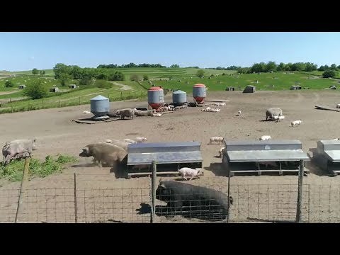 Applegate: Eastern Iowa Pork Farmers