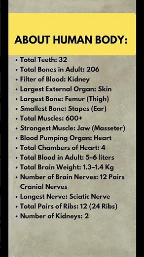 16 Amazing Facts About the Human Body You Should Know