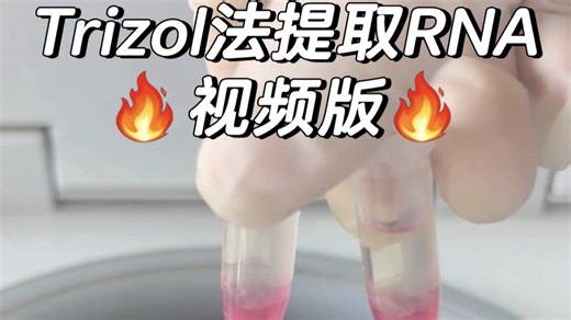 Trizol法提组织RNA✅视频版